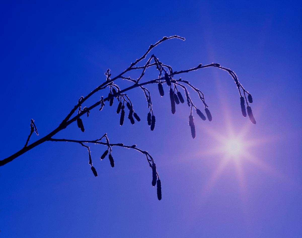 Kuva: Esko Jämsä